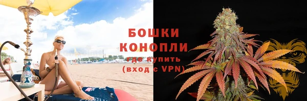 ПСИЛОЦИБИНОВЫЕ ГРИБЫ Абаза