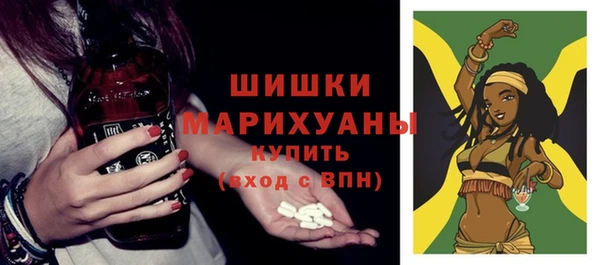 ПСИЛОЦИБИНОВЫЕ ГРИБЫ Абаза