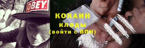 ПСИЛОЦИБИНОВЫЕ ГРИБЫ Абаза