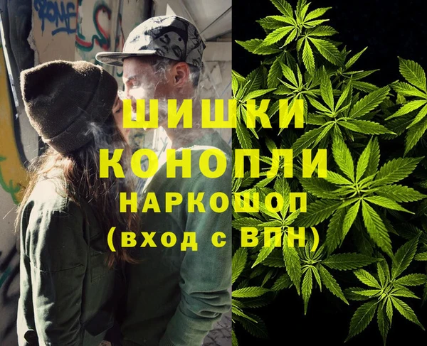 ПСИЛОЦИБИНОВЫЕ ГРИБЫ Абаза